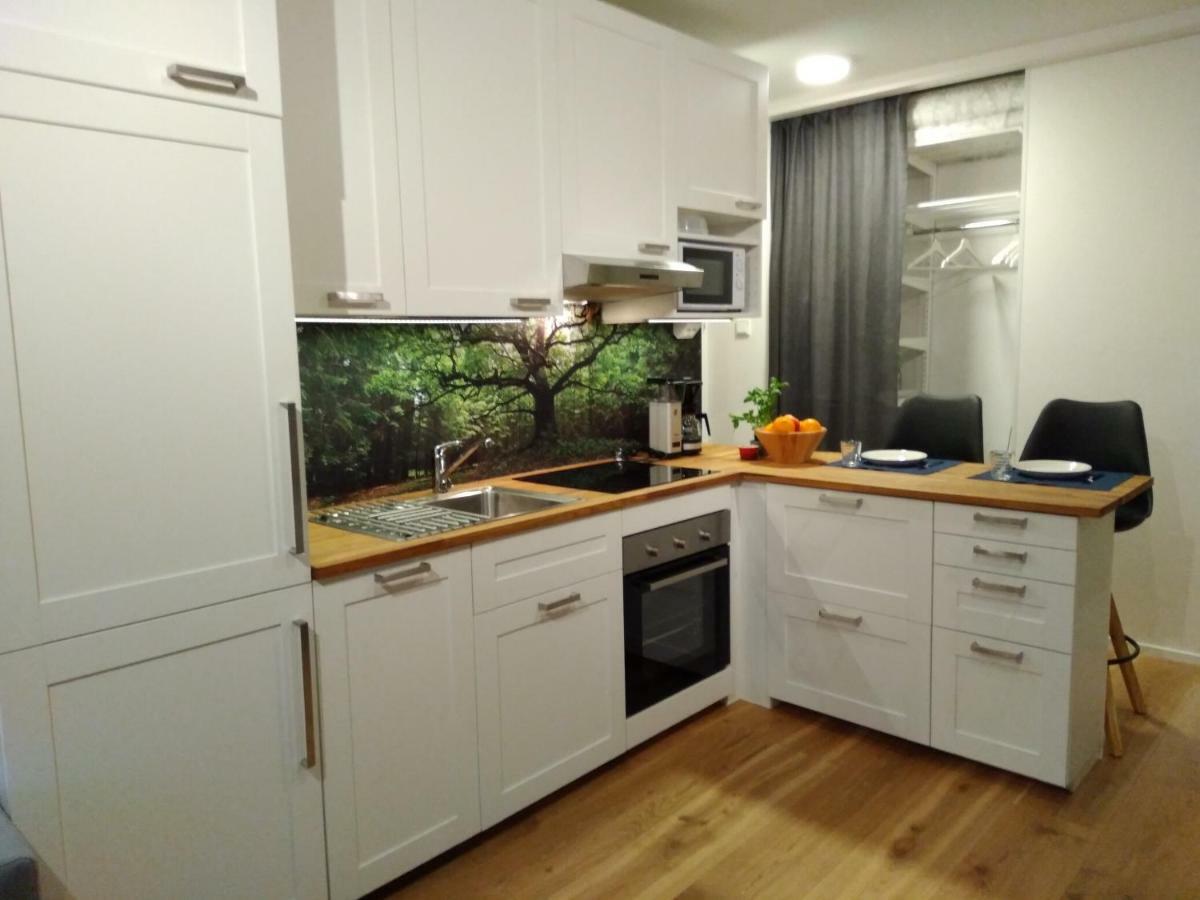 Studiohuoneisto Lohjan Keskusta Εξωτερικό φωτογραφία